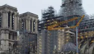 notre dame