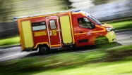 Treize personnes ont été blessées, dont au moins une gravement, par la foudre qui a frappé mercredi après-midi le Parc animalier de La Barben, près d'Aix-en-Provence, selon les pompiers (Illustration)