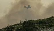 Incendies dans l’Hérault : 200 pompiers toujours mobilisés, l'origine du feu toujours inconnue