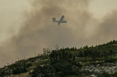 Incendies dans l’Hérault : 200 pompiers toujours mobilisés, l'origine du feu toujours inconnue